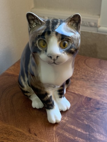 Mike hinton sitting - tabby, cat
