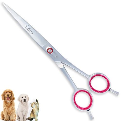 Pro dog cat pet - cat, hairdressing