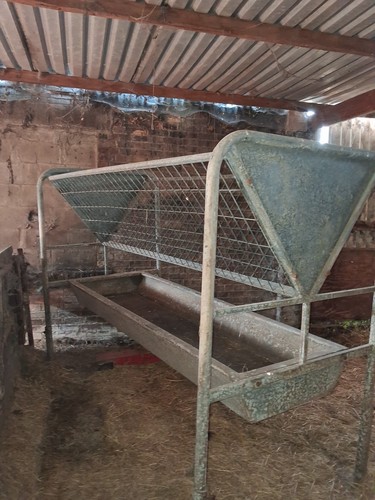 Galvanised livestock hay - livestock,