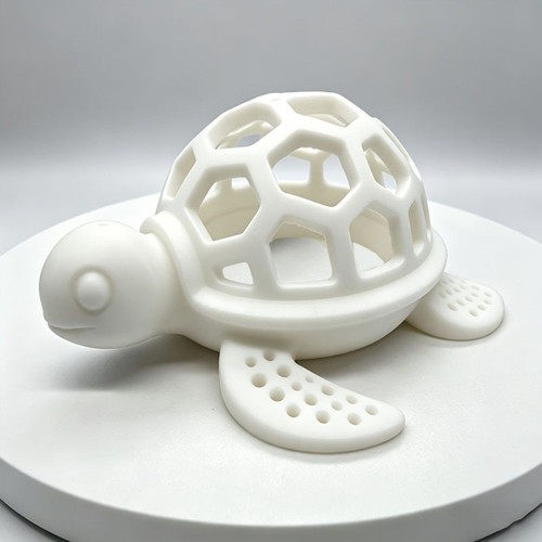 Tortoise hollowed out - tortoise, fish