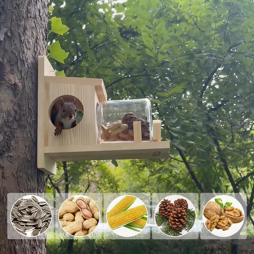 Squirrel feeder wood - feeder,