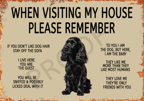 Funny dog cocker spaniel - funny,