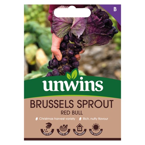 Brussels sprout red bull - sprout, |