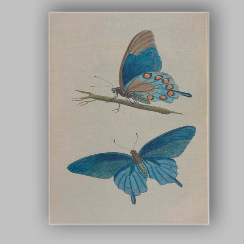 Canvas wall art decor - canvas, picture