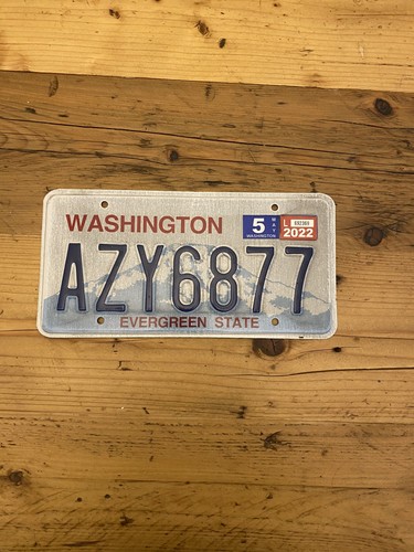 Vintage washington evergreen - vintage,