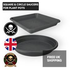 Saucer drip tray - tray, plant