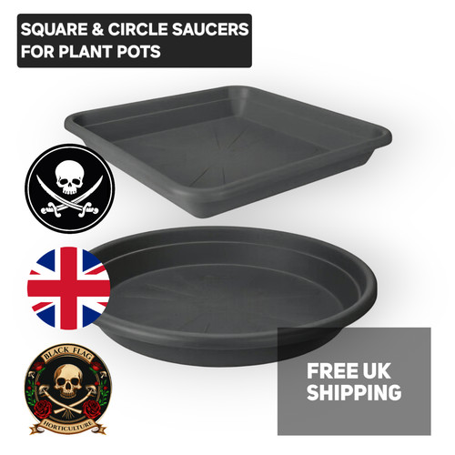 Saucer drip tray for plant - saucer,