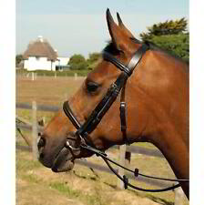 STS English Leather Cavesson