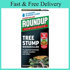 Roundup tree stump - tree,