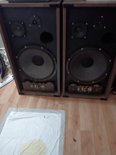 Allen organ speakers 14 - speakers, hc
