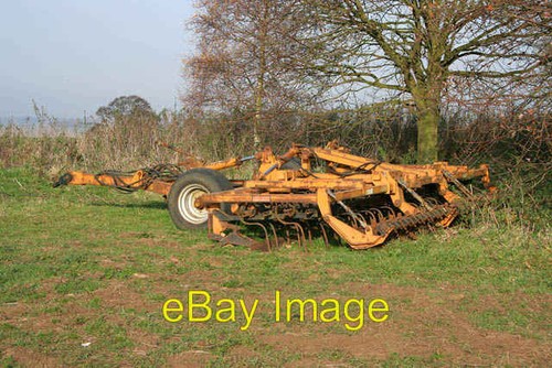 Photo 6x4 spring - 6x4, tine
