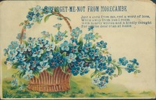 morecambe forget me not
