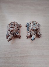 2 Wade Whimsie Tortoise