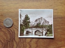 Cambridge  Photo Sunripe & Spinet Oval  Cigarette Card . Free UK Postage