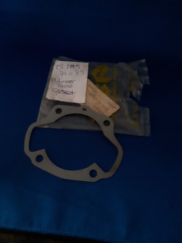 Suzuki ts185 1971 cylinder - ts185, 1971-75