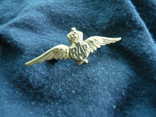 Raf wings sweetheart brooch - wings,
