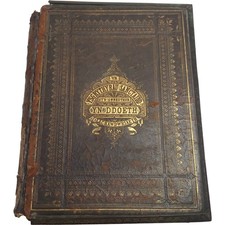 Welsh bible bib - bible,