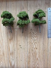 Model Railway Scenic Tree OO