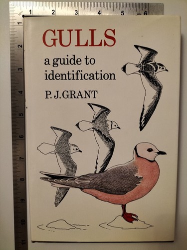 Gulls guide to - a,