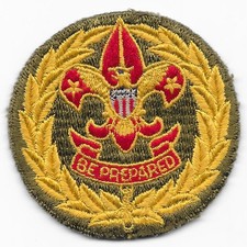 Assistant Field Executive