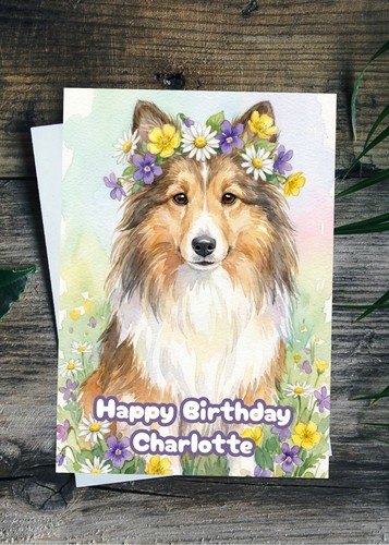 Sheltie birthday card - sheltie,