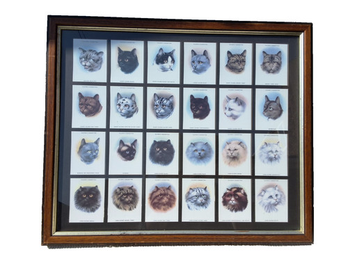 Complete framed set - complete, john