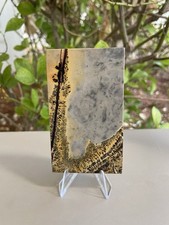 Picture Jasper