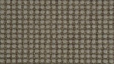 Crucial Trading Sisool Tric