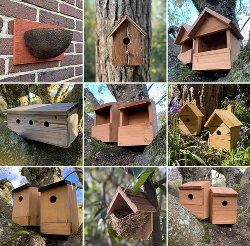 Bird nest box wood - wood, wooden