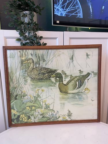 Vintage mallard ducks - mallard,