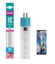 BlueBay Aquatics Arcadia