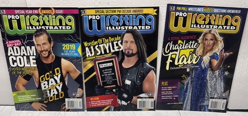 Pro wrestling illustrated - 3,