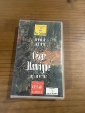 Spanish Artist Cesar Manrique