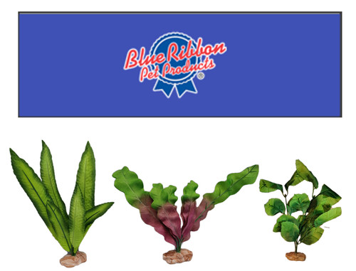 Rosewood blue ribbon - rosewood,