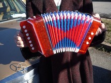COOL SMALL ACCORDION