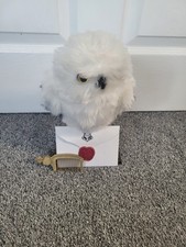 Harry Potter Hedwig