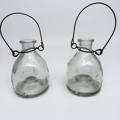 Vintage pair glass wasp - wasp, fly