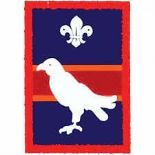 Scouts falcon patrol - falcon,