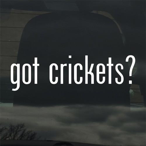 Got crickets custom - crickets?,