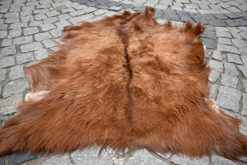 Angora goat leather - angora,