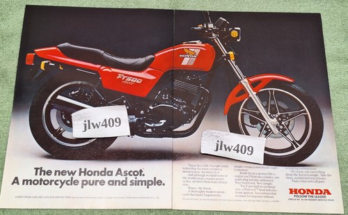 1982 honda ft500 ascot print - honda,
