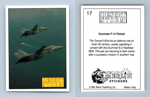 Grumman tomcat 17 desert - grumman, f-14