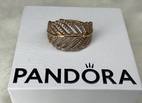 Pandora rose light a - light,