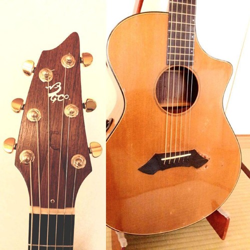 Breedlove all solid usa - sc/r,