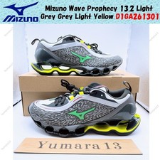 Mizuno wave prophecy - mizuno,