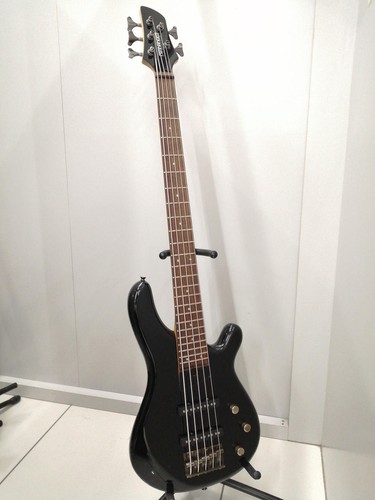 Fernandes gravity electric - fernandes, 5x