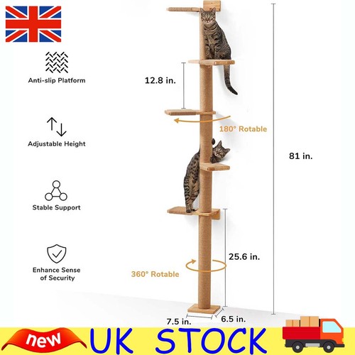 Floor ceiling tall - to,