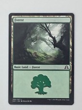 MTG Forest Basic Land 295/297 Shadows Over Innistrad 2016 Wizards Jonas De Ro