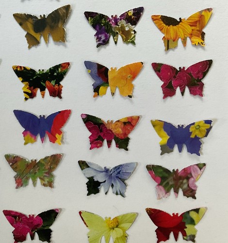 100 butterfly flower - 100, print