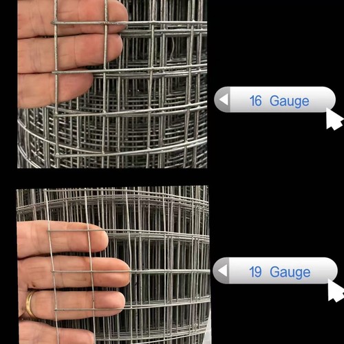 Welded chicken wire mesh - wire,